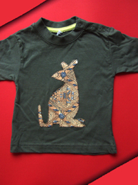 http://www.babymonster.nl/webimg/MonsterBeestKangoeroe01.jpg
